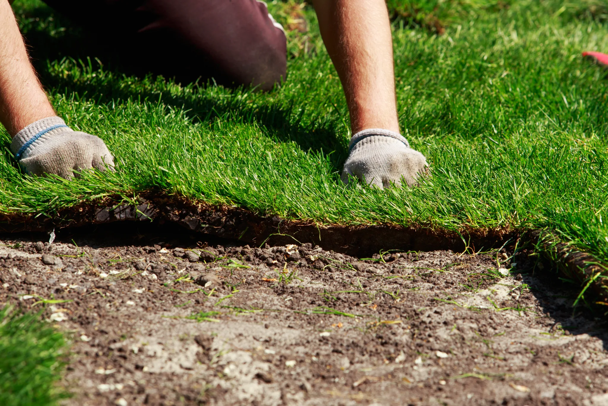 Como plantar grama em placas, passo a passo