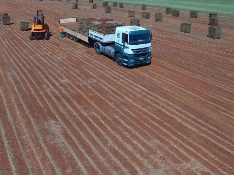 Frota e equipe de plantio da Gramas São Miguel no campo